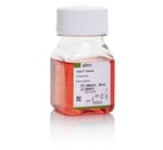 TrypLE&trade; Express Enzyme (1X), phenol red