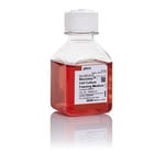 Recovery&trade; Cell Culture Freezing Medium