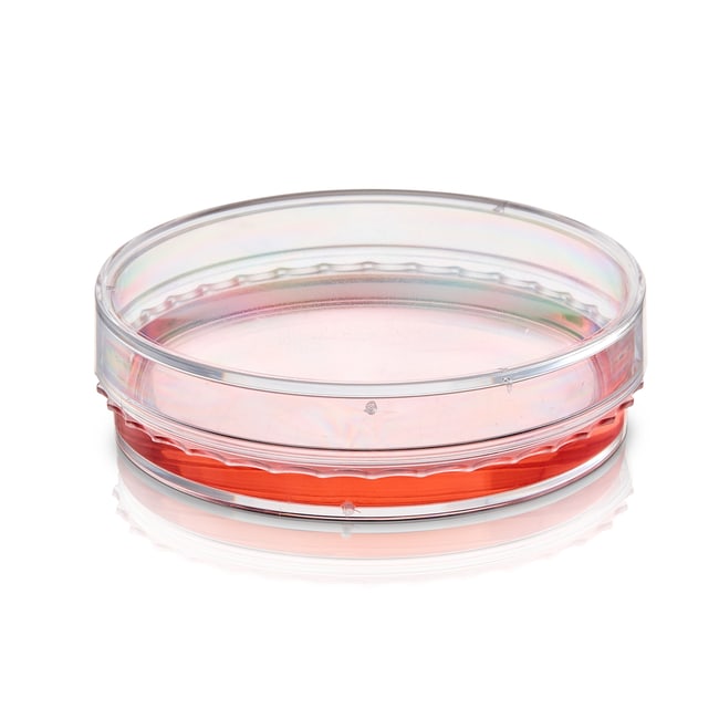 BioLite&trade; Cell Culture Treated Dishes