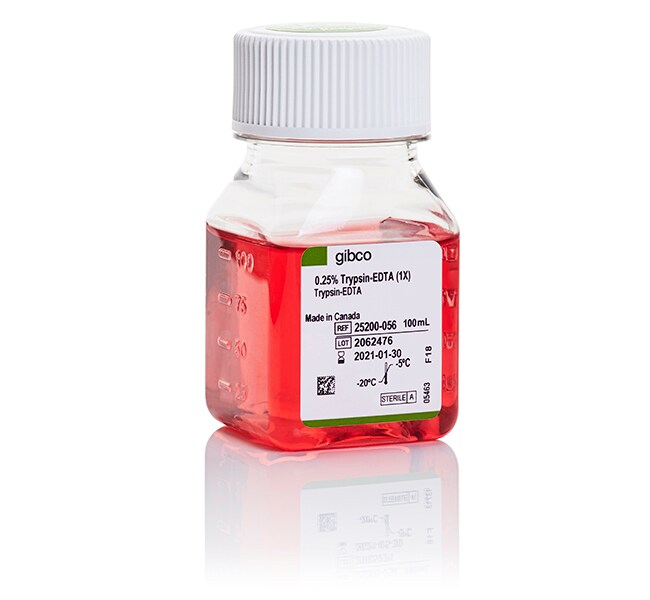 Trypsin-EDTA (0.25%), phenol red