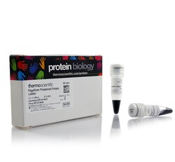 PageRuler&trade; Prestained Protein Ladder, 10 to 180 kDa