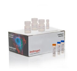 Click-iT&trade; Plus EdU Cell Proliferation Kit for Imaging, Alexa Fluor&trade; 488 dye