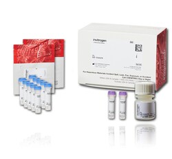 ARES™ Alexa Fluor™ 647 DNA Labeling Kit 1 kit | Buy Online