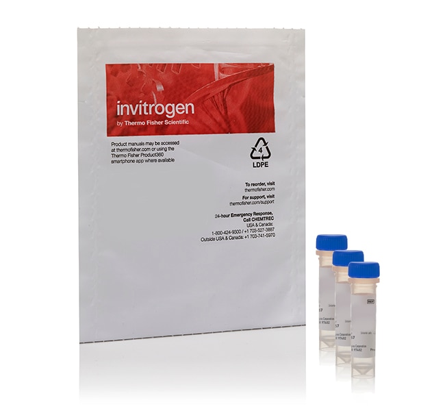 NeuroTrace&trade; Multicolor Tissue-Labeling Kit - DiO, DiI, DiD pastes, 500 mg each