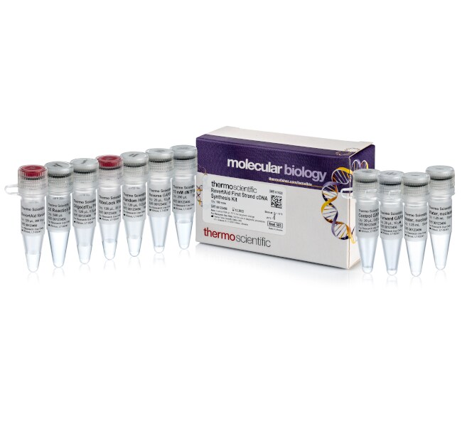 RevertAid First Strand cDNA Synthesis Kit