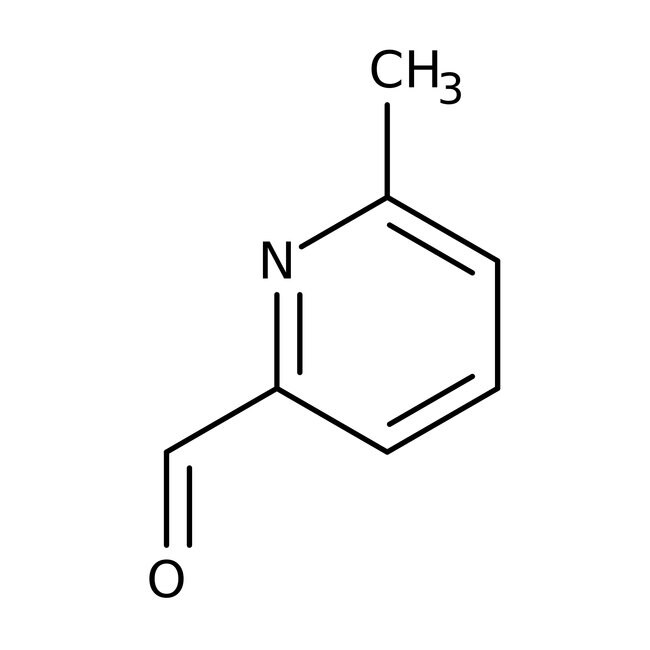 6-Methylpyridine-2-carboxaldehyde, 98%, Thermo Scientific Chemicals