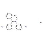 Solution de bromure d’éthidium,0,625 mg/ml, Thermo Scientific Chemicals