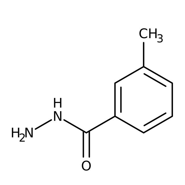 m-Toluic hydrazide, 97%, Thermo Scientific Chemicals