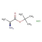 L-Alanine tert-butyl ester hydrochloride, 98%, Thermo Scientific Chemicals