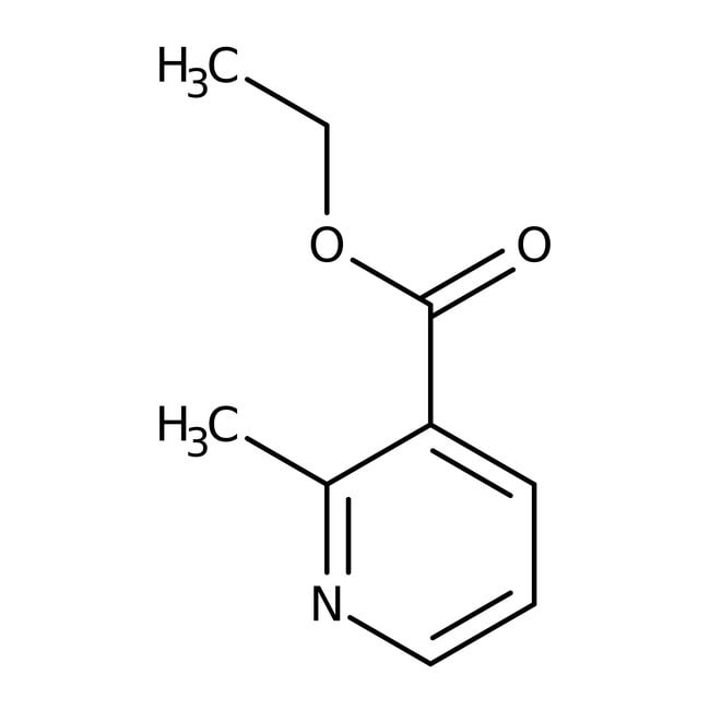 Ethyl 2-methylnicotinate, 97%, Thermo Scientific Chemicals