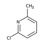 2-Chloro-6-methylpyridine, 98%, Thermo Scientific Chemicals