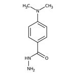 4-Dimethylaminobenzhydrazide, 98+%, Thermo Scientific Chemicals