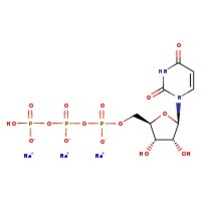 Uridine-5'-triphosphate trisodium salt, 98+%