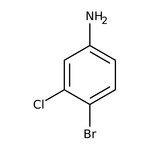 4-Bromo-3-chloroaniline, 96%, Thermo Scientific Chemicals