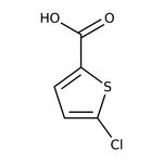 5-Chlorothiophene-2-carboxylic acid, 98%, Thermo Scientific Chemicals