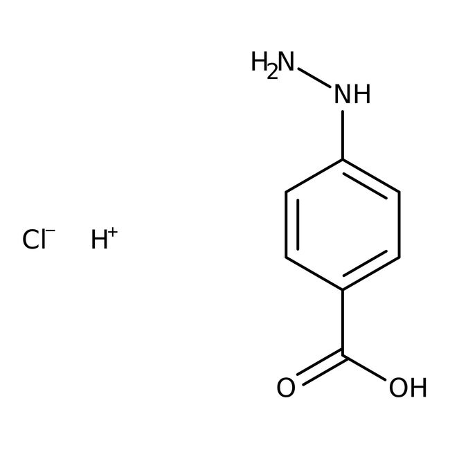 4-Hydrazinobenzoic acid hydrochloride, 97%, Thermo Scientific Chemicals