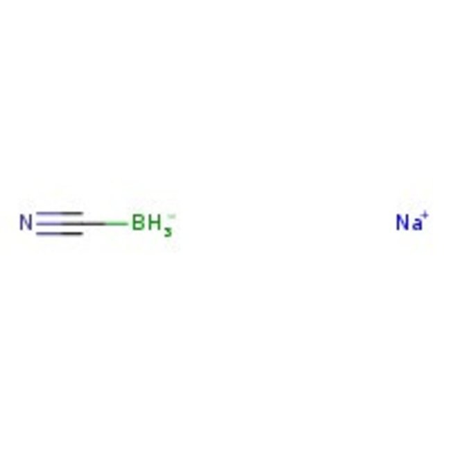 Sodium cyanoborohydride, 95%, Thermo Scientific Chemicals