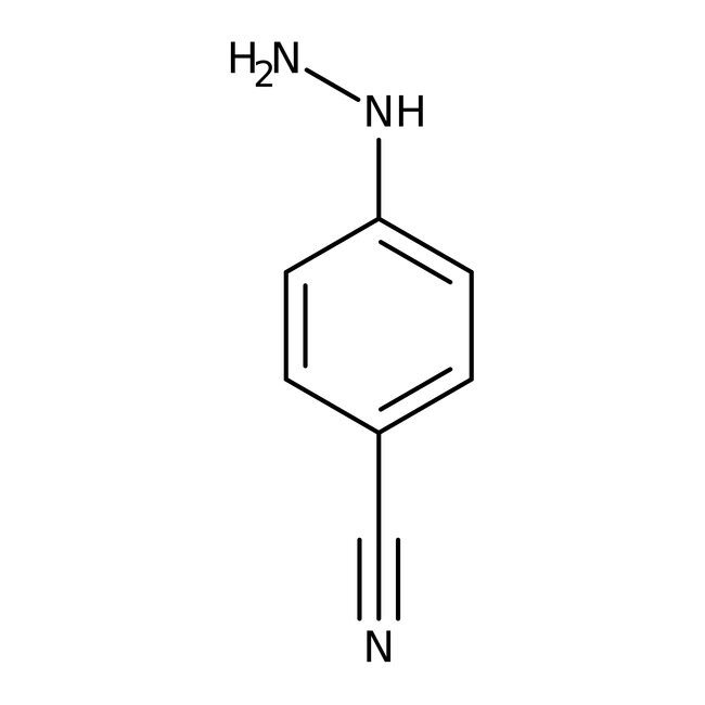 4-Cyanophenylhydrazine hydrochloride, 97%, Thermo Scientific Chemicals