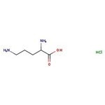 L-Ornithine hydrochloride, 99%, Thermo Scientific Chemicals