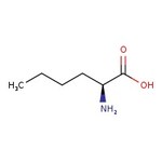 L-(+)-Norleucine, 99%, Thermo Scientific Chemicals