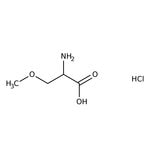 O-Methyl-L-serine hydrochloride, 95%, Thermo Scientific Chemicals
