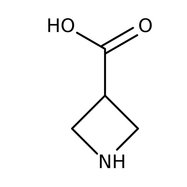 Azetidine-3-carboxylic acid, 98+%, Thermo Scientific Chemicals