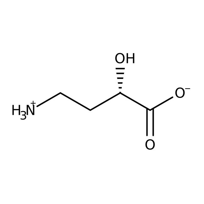 (S)-4-Amino-2-hydroxybutyric acid, 98%, Thermo Scientific Chemicals