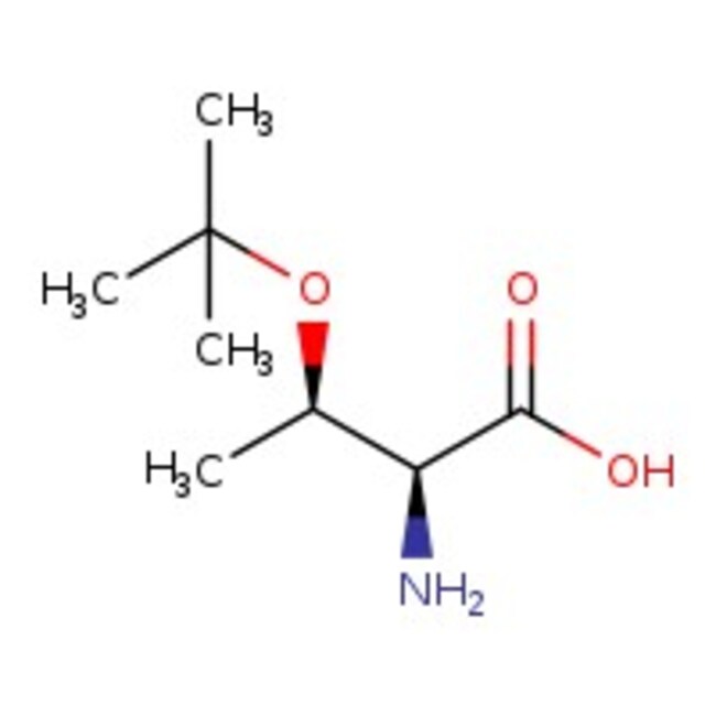 O-tert-Butyl-L-Threonin, 97 %, Thermo Scientific Chemicals