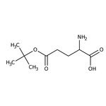 D-Glutaminsäure 5-tert-Butylester, 95 %, Thermo Scientific Chemicals