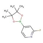 Pinacol éster de ácido 2-fluoropiridina-4-borónico, 95 %, Thermo Scientific Chemicals