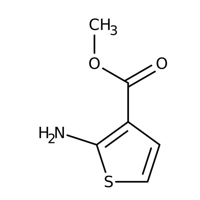 Methyl 2-aminothiophene-3-carboxylate, 97%, Thermo Scientific Chemicals
