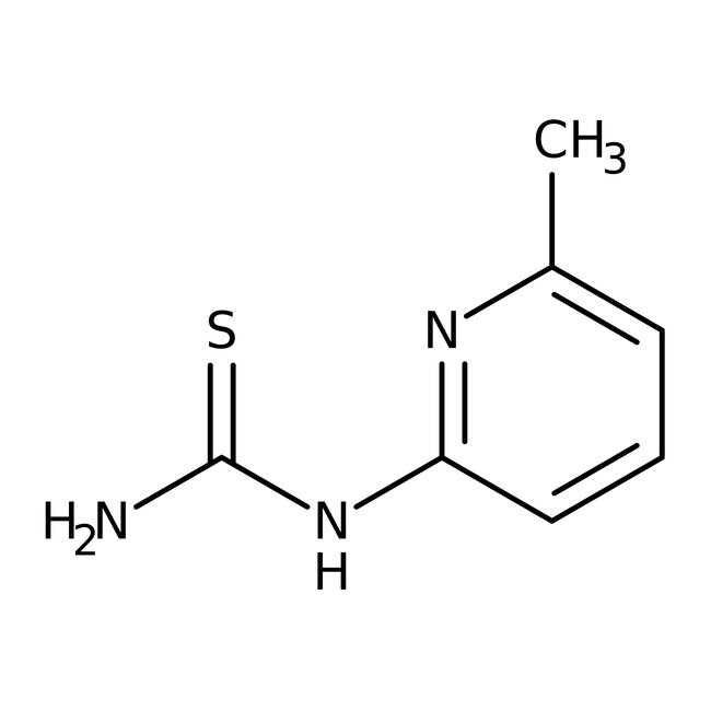 N-(6-Methyl-2-pyridyl)thiourea, 97%, Thermo Scientific Chemicals