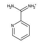 2-Amidinopyridine hydrochloride, 97%, Thermo Scientific Chemicals