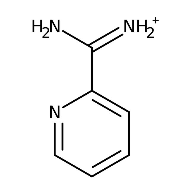 2-Amidinopyridine hydrochloride, 97%, Thermo Scientific Chemicals