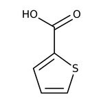 2-Thiophenecarboxylic acid, 99%, Thermo Scientific Chemicals
