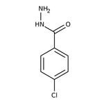 4-Chlorobenzhydrazide, 98%, Thermo Scientific Chemicals