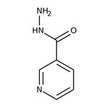 Nicotinic acid hydrazide, 97%, Thermo Scientific Chemicals