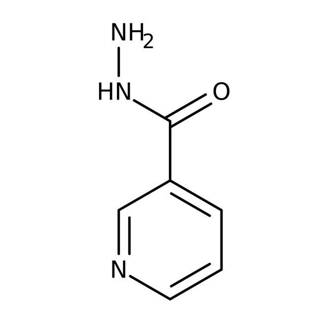 Nicotinic acid hydrazide, 97%, Thermo Scientific Chemicals