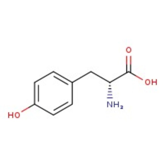 D-Tyrosine, 99%, Thermo Scientific Chemicals