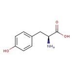 L-Tyrosine, Cell Culture Reagent