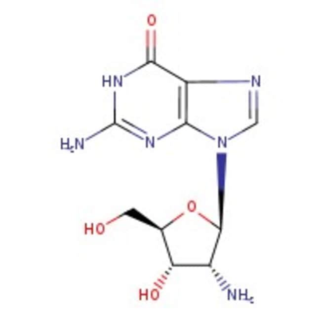 2'-Amino-2'-deoxyguanosine, 98%