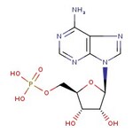 Adenosine-5'-monophosphoric acid, 99% (dry wt.), water &lt;6%