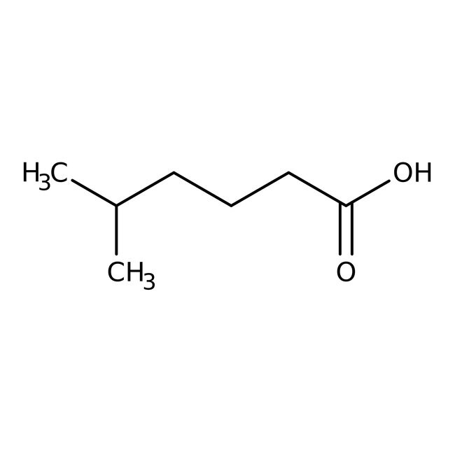 Acide5-méthylhexanoïque, 98 %, Thermo Scientific Chemicals