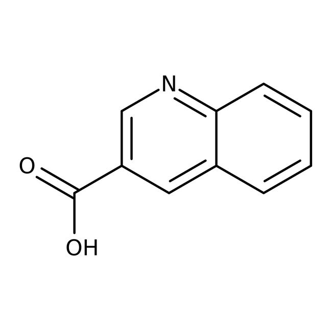 3-Quinolinecarboxylic acid, 98%, Thermo Scientific Chemicals