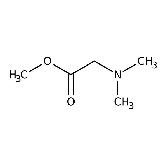 N,N-Dimethylglycine methyl ester, 98%, Thermo Scientific Chemicals