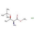 O-tert-Butyl-L-threonine methyl ester hydrochloride, 95%, Thermo Scientific Chemicals