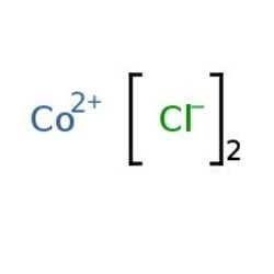 Cloruro de cobalto(II) hexahidrato, cristales rojo-morado, 99,9 % (base  metálica), Thermo Scientific Chemicals