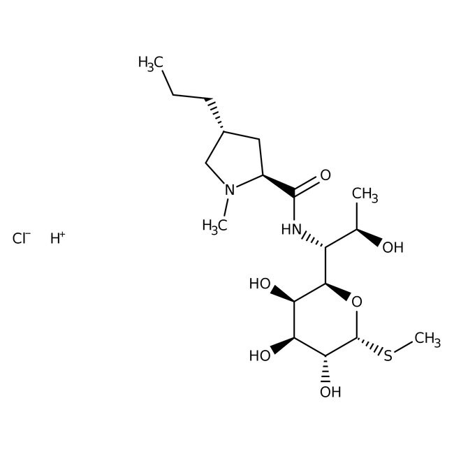 Lincomycin hydrochloride, Thermo Scientific Chemicals