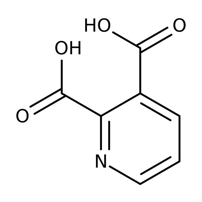 2,3-Pyridinedicarboxylic acid, 99%, Thermo Scientific Chemicals