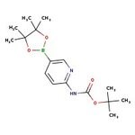 Éster de pinacol de ácido 6-(terc-butoxicarbonilamino)piridin-3-borónico, 97 %, Thermo Scientific Chemicals